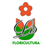 Lis Floricultura – Marília – SP